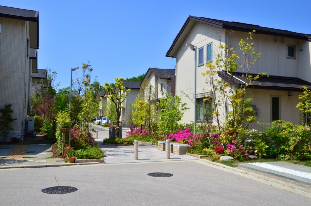 ��n�������